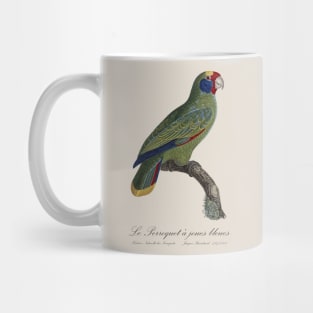 Red-Tailed Amazon Parrot / Le Perroquet a Joues Bleues - 19th century Jacques Barraband Illustration Mug